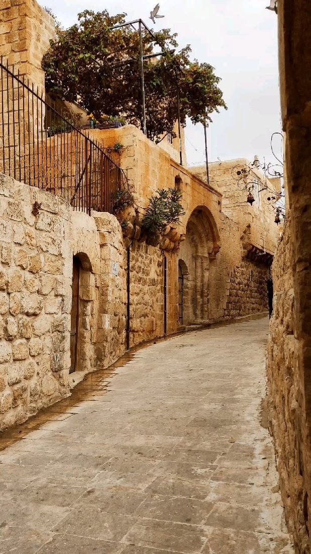 مدينة غزة