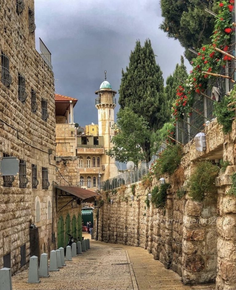 مدينة نابلس